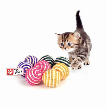 Scratch Ball for Cats and Puppies